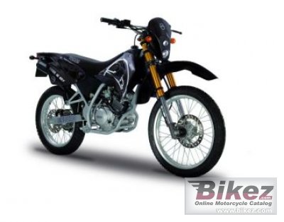2008 Tomos SM 125 Replica Cup photo